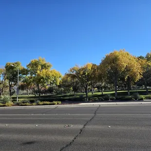 Gorgeous fall colors  around the area