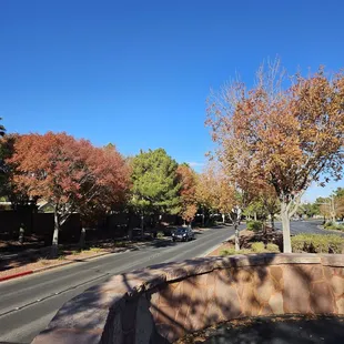 Gorgeous fall colors  around the area