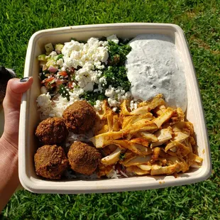 Falafel, Sharma, cranberry rice, tzatziki