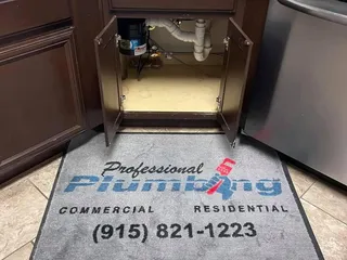 Professional Plumbing