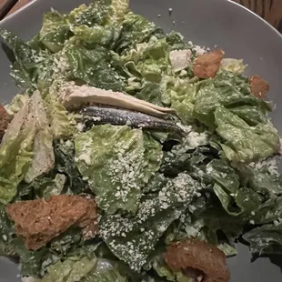 Caesar Salad