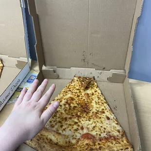 Cheese pizza slice