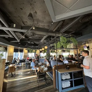 salads, interior