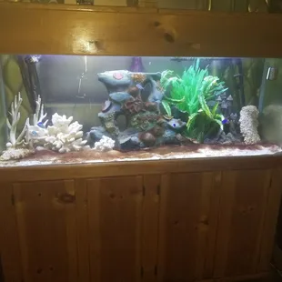 Aquarium at entrance
