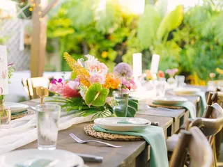 Belle de Jour Floral