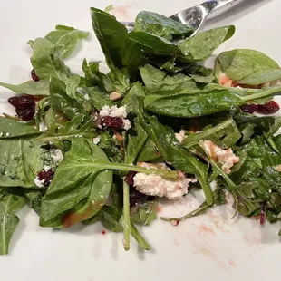 Cranberry Goat Cheese Salad (half of dish)