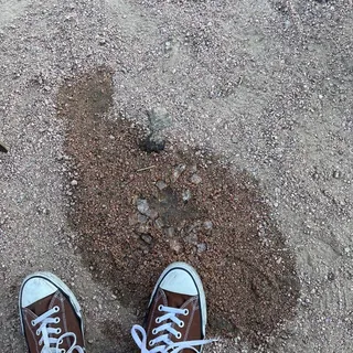 Soda