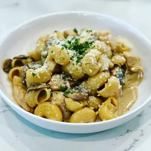 Lumache Marsala chicken and mushroom