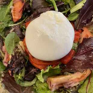 Insulate Caprese