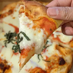 Pizza Margherita, very good and tasty with lots of cheese and great sauce