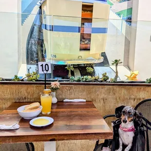Bread with olive oil on the outside patio