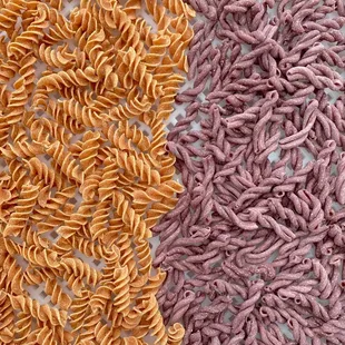 a variety of different types of pasta