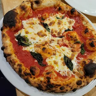 Margherita Pizza