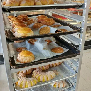 Trays of pan dulce: Mexican croissants, donuts, ojos, Pán Guatemalteco or cuernitos