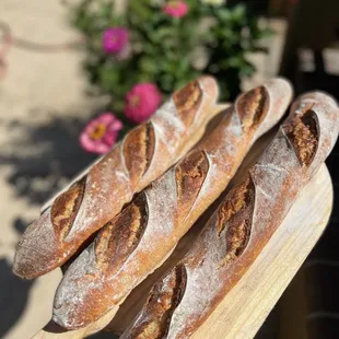 a bunch of sourdoughs