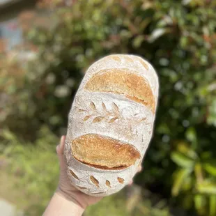 a hand holding a sourdough
