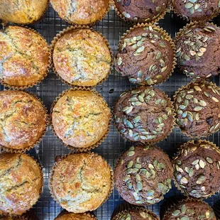 a variety of muffins