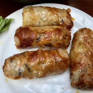 Fried Spring Rolls
