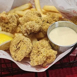 oysters and mussels, food, mussels, oysters, shellfish