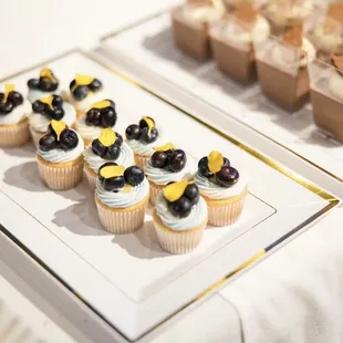 Blue citrus mini cupcakes and chocolate hazelnut verrines