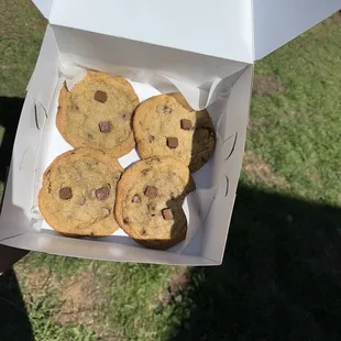 Chocolate Chunk Cookies