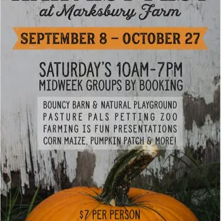 Visit our Fall Festival!