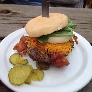 food, sandwich, sandwiches