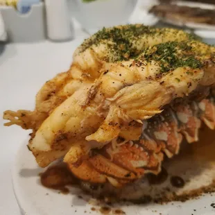 Lobster