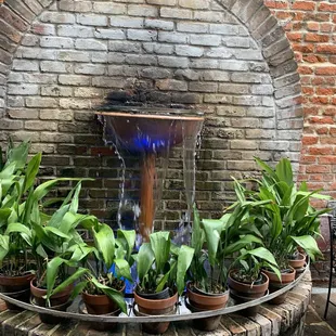 a fountain with potted plants