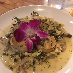 Scallops