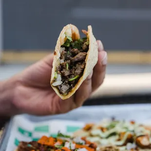 a hand holding a taco