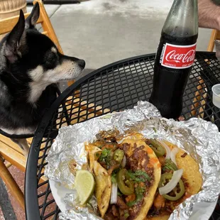 Noah approved Al pastor tacos