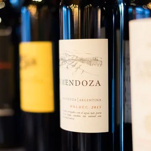 Great Selection of Malbec, from Mendoza, Argentina