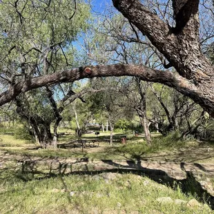 Picnic area