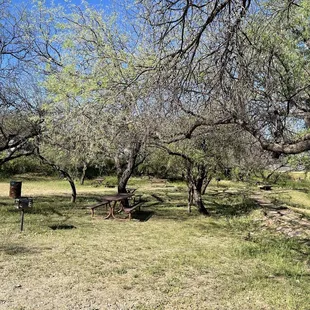 Day use picnic area
