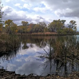 Lovely lakeside view