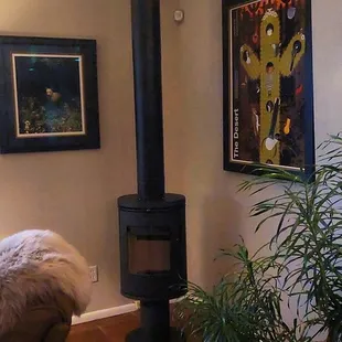 Our sleek new stove from Patio 505.