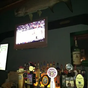 a bar with beer taps and a fish mounted on the wall