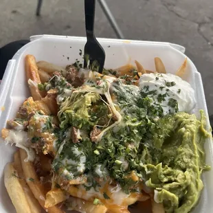 Nasty hard carne asada fries