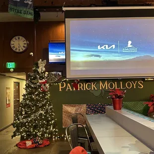  christmas tree in front of a projector screen