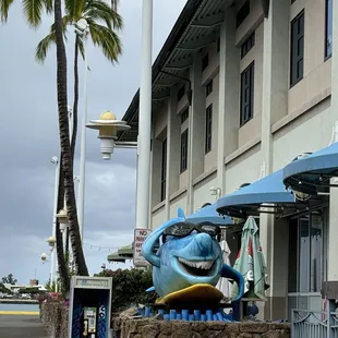 When you see this cute shark you&apos;re almost there