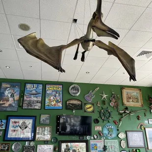 Believe it or not this is a Pterodactyl