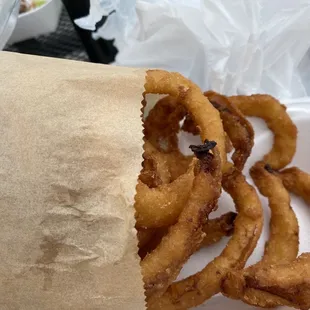 old and Greasy Onion Rings