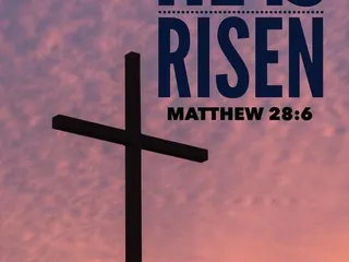 Grace Automotive, LLC