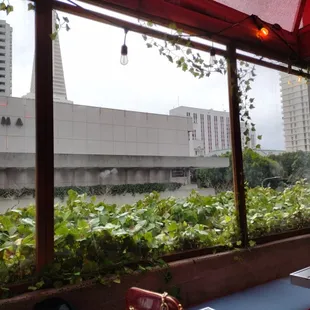 the view of the city from the patio