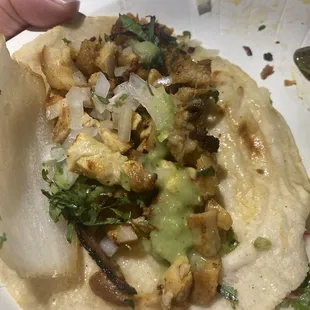 Pollo