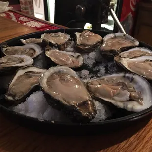 Oysters on the Half Shell