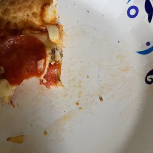 a half eaten pizza on a plate
