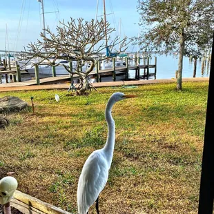 There's always an unexpected guest or two!