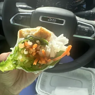 Summer Rolls Tofu